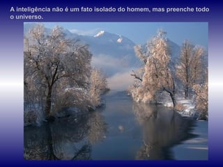 A inteligência não é um fato isolado do homem, mas preenche todo o universo.  
