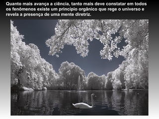 Quanto mais avança a ciência, tanto mais deve constatar em todos os fenômenos existe um princípio orgânico que rege o universo e revela a presença de uma mente diretriz.  