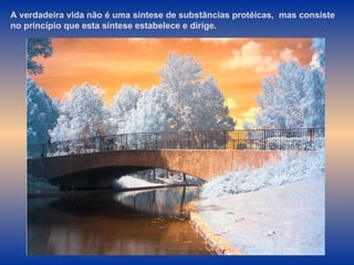 A verdadeira vida não é uma síntese de substâncias protéicas,  mas consiste no princípio que esta síntese estabelece e dirige.  