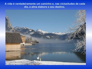 A vida é verdadeiramente um caminho e, nas vicissitudes de cada dia, a alma elabora o seu destino.  