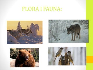 FLORA I FAUNA:
 
