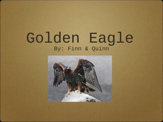 Golden Eagle
By: Finn & Quinn
 