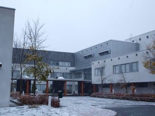Finnish school