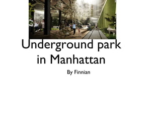 Underground park in Manhattan ,[object Object]