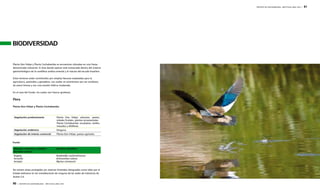 90 | REPORTE DE SOSTENIBILIDAD - AÑO FISCAL 2009 / 2010 
REPORTE DE SOSTENIBILIDAD - AÑO FISCAL 2009 / 2010 | 91 
BIODIVERSIDAD 
Planta Don Felipe y Planta Cochabamba se encuentran ubicadas en una franja 
denominada industrial. El área donde operan está enmarcada dentro del sistema 
geomorfológico de la cordillera andina oriental y el macizo del escudo brasilero. 
Estos terrenos están constituidos por amplias llanuras empleadas para la 
agricultura, pastizales y ganadería. Los suelos se caracterizan por ser arcillosos, 
de arena limosa y con una erosión hídrica moderada. 
En el caso del Fundo, los suelos son franco–gredosos. 
Flora 
Planta Don Felipe y Planta Cochabamba 
Vegetación predominante Planta Don Felipe: arbustos, pastos, 
árboles frutales, plantas ornamentales 
Planta Cochabamba: eucaliptos, molles, 
maizales y alfalfares 
Vegetación endémica Ninguna. 
Vegetación de interés comercial Planta Don Felipe: pastos agrícolas 
Fundo 
Malezas, arbustos y árboles – 
Nombre común 
Nombre científico 
Rogelia 
Arrocillo 
Arrayán 
Rotiboellia cochinchinensis 
Echinochloa colona 
Myrtus communis 
No existen áreas protegidas y/o reservas forestales designadas como tales por el 
Estado boliviano en las inmediaciones de ninguna de las sedes de Industrias de 
Aceite S.A. 
 