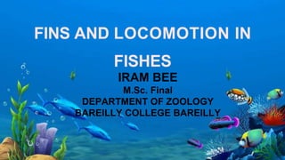 FINS AND LOCOMOTION IN
FISHES
IRAM BEE
M.Sc. Final
DEPARTMENT OF ZOOLOGY
BAREILLY COLLEGE BAREILLY
 