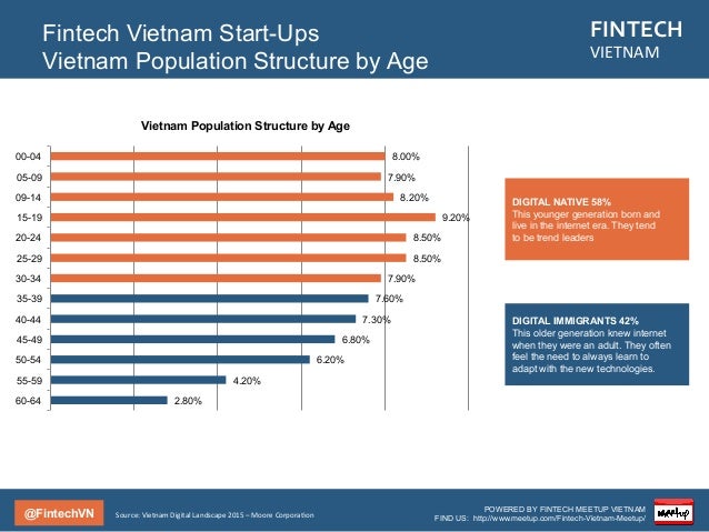 Fintech in Viet Nam (2015) - 웹