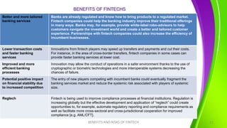 Fintech Risks  and Benefits--DR. Emmanuel Moore ABOLO