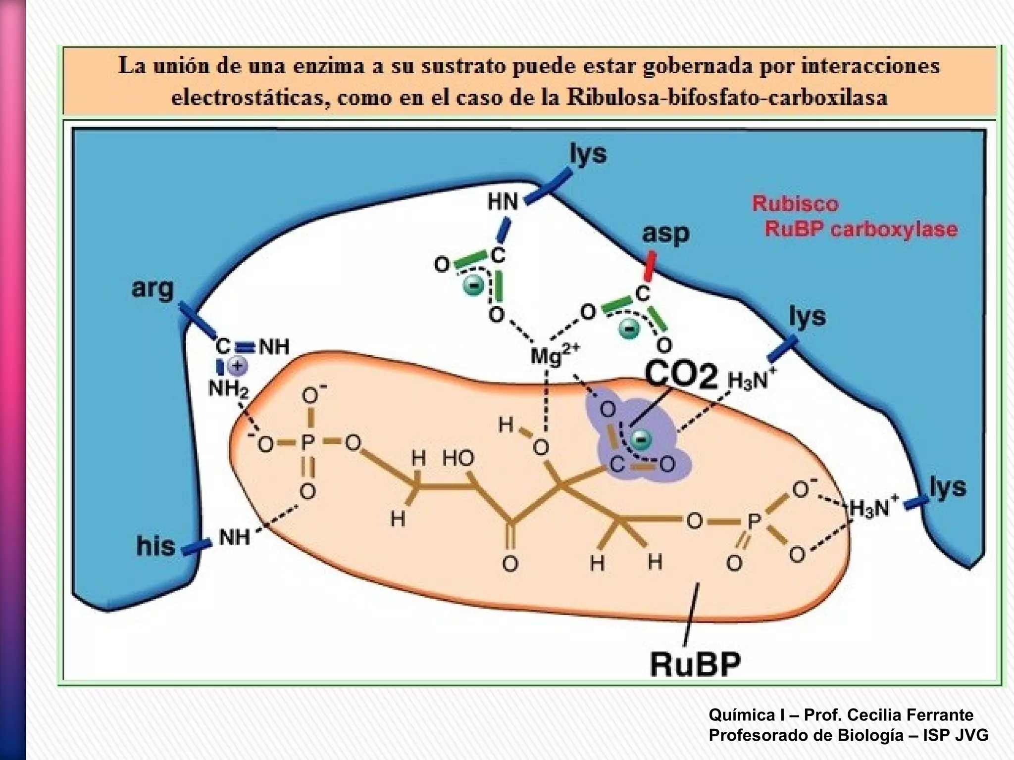 Química I – Prof. Cecilia Ferrante
Profesorado de Biología – ISP JVG
 