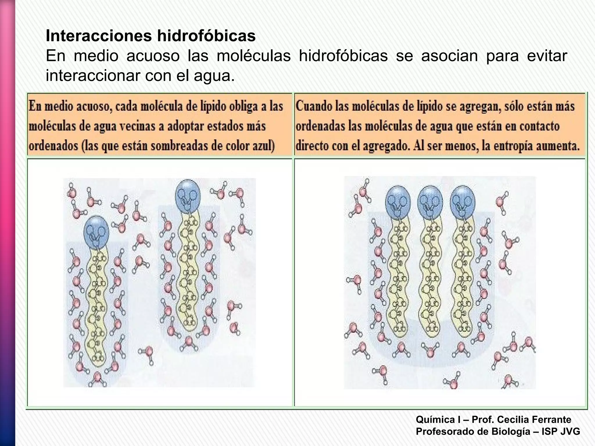 Química I – Prof. Cecilia Ferrante
Profesorado de Biología – ISP JVG
Interacciones hidrofóbicas
En medio acuoso las moléculas hidrofóbicas se asocian para evitar
interaccionar con el agua.
 
