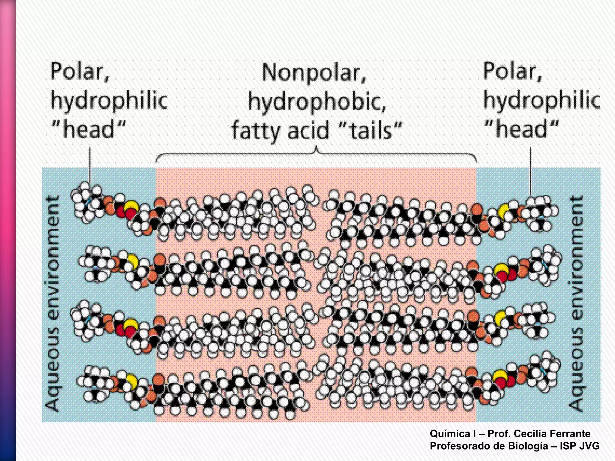 Química I – Prof. Cecilia Ferrante
Profesorado de Biología – ISP JVG
 