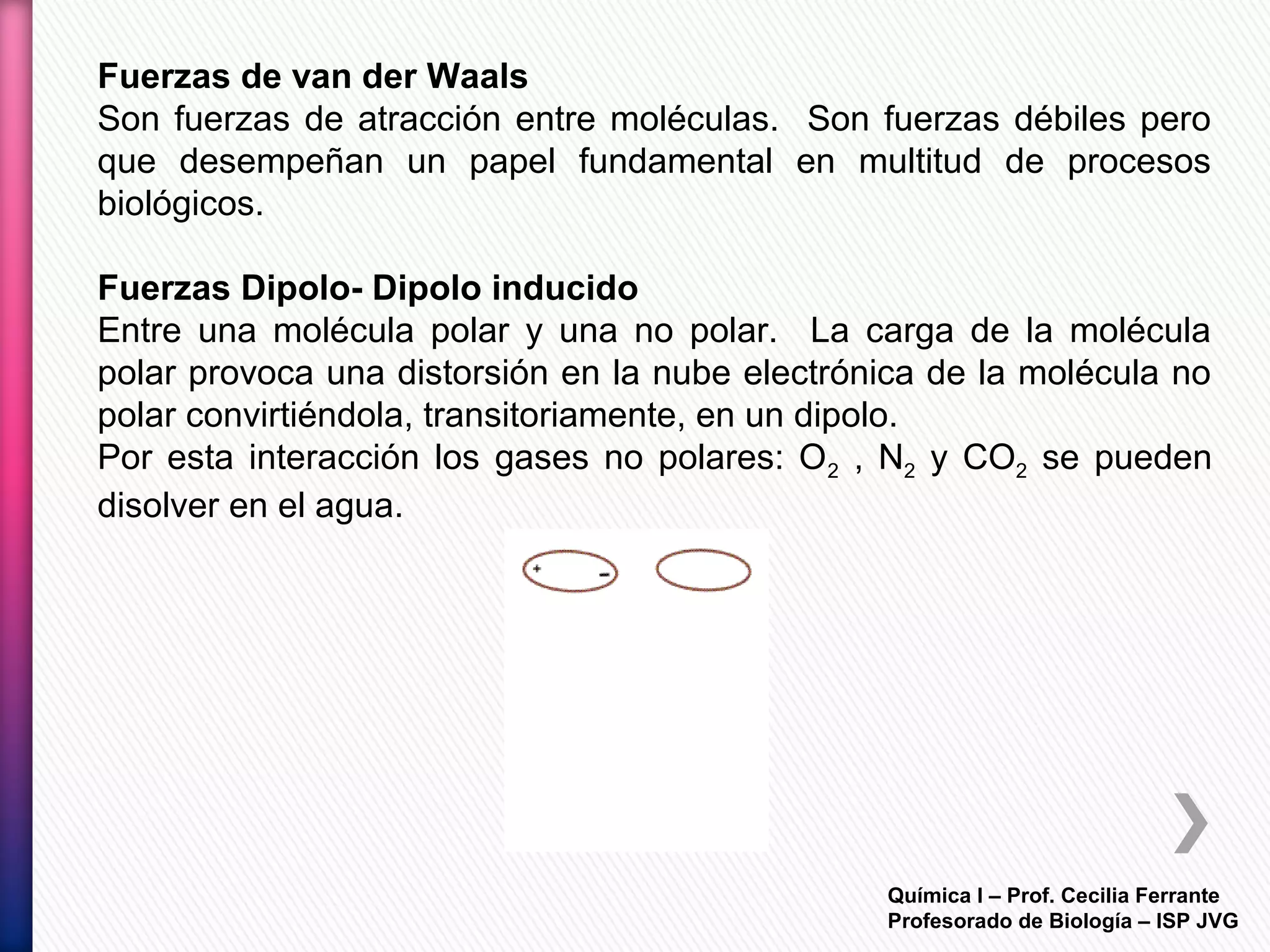 Química I – Prof. Cecilia Ferrante
Profesorado de Biología – ISP JVG
Fuerzas de van der Waals
Son fuerzas de atracción entre moléculas. Son fuerzas débiles pero
que desempeñan un papel fundamental en multitud de procesos
biológicos.
Fuerzas Dipolo- Dipolo inducido
Entre una molécula polar y una no polar. La carga de la molécula
polar provoca una distorsión en la nube electrónica de la molécula no
polar convirtiéndola, transitoriamente, en un dipolo.
Por esta interacción los gases no polares: O2 , N2 y CO2 se pueden
disolver en el agua.
 
