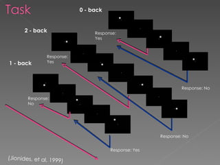 0 - back 1 - back 2 - back Response: Yes Response: No Response: Yes Response: No Response: No Response: Yes (Jionides, et ...