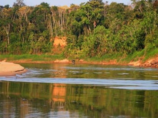 Fiorella bravo ocaña