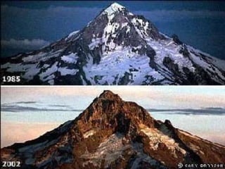 Fiorella Bravo Ocaña