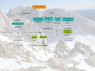 Fiorella Bravo Ocaña