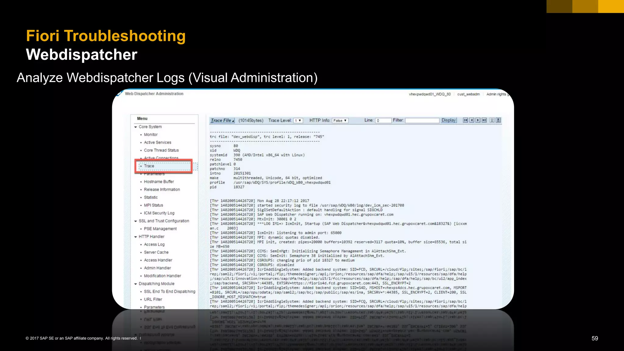 59© 2017 SAP SE or an SAP affiliate company. All rights reserved. ǀ
Fiori Troubleshooting
Webdispatcher
Analyze Webdispatcher Logs (Visual Administration)
 