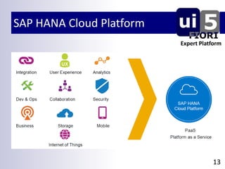 SAP HANA Cloud Platform
13
Expert Platform
 