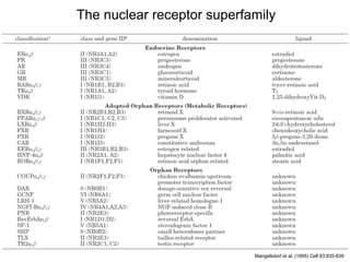 The nuclear receptor superfamily




                            Mangelsdorf et al, (1995) Cell 83:835-839
 