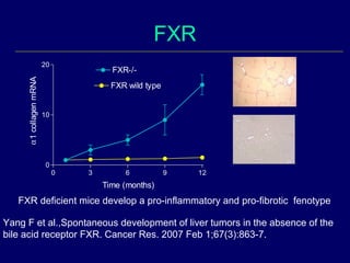 Role of FXR and other nuclear receptors in liver fibrosis - Prof ...
