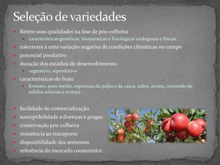  Retém suas qualidades na fase de pós-colheita
 características genéticas, bioquímicas e fisiológicas endógenas e físicas.
 tolerantes a uma variação negativa de condições climáticas no campo
 potencial produtivo
 duração dos estádios de desenvolvimento
 vegetativo, reprodutivo
 características do fruto
 formato, peso médio, espessura da polpa e da casca, sabor, aroma, conteúdo de
sólidos solúveis e textura
 facilidade de comercialização
 susceptibilidade a doenças e pragas
 conservação pós-colheita
 resistência ao transporte
 disponibilidade das sementes
 referência do mercado consumidor.
 