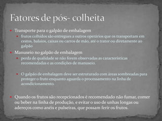  Transporte para o galpão de embalagem
 frutos colhidos são entregues a outros operários que os transportam em
cestos, balaios, caixas ou carros de mão, até o trator ou diretamente ao
galpão
 Manuseio no galpão de embalagem
 perda de qualidade se não forem observadas as características
recomendadas e as condições de manuseio.
 O galpão de embalagem deve ser estruturado com áreas sombreadas para
proteger o fruto enquanto aguarda o processamento na linha de
acondicionamento.
 Quando os frutos são recepcionados é recomendado não fumar, comer
ou beber na linha de produção, e evitar o uso de unhas longas ou
adereços como anéis e pulseiras, que possam ferir os frutos.
 