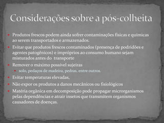  Produtos frescos podem ainda sofrer contaminações físicas e químicas
ao serem transportados e armazenados.
 Evitar que produtos frescos contaminados (presença de podridões e
agentes patogênicos) e impróprios ao consumo humano sejam
misturados antes do transporte
 Remover o máximo possível sujeiras
 solo, pedaços de madeira, pedras, entre outros.
 Evitar temperaturas elevadas,
 Não expor os produtos a danos mecânicos ou fisiológicos
 Matéria orgânica em decomposição pode propagar microrganismos
pelas dependências e atrair insetos que transmitem organismos
causadores de doenças.
 