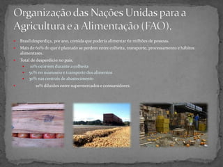  Brasil desperdiça, por ano, comida que poderia alimentar 62 milhões de pessoas.
 Mais de 60% do que é plantado se perdem entre colheita, transporte, processamento e hábitos
alimentares.
 Total de desperdício no país,
 10% ocorrem durante a colheita
 50% no manuseio e transporte dos alimentos
 30% nas centrais de abastecimento
 10% diluídos entre supermercados e consumidores.
 