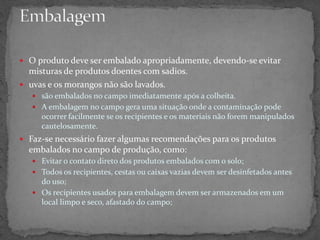  O produto deve ser embalado apropriadamente, devendo-se evitar
misturas de produtos doentes com sadios.
 uvas e os morangos não são lavados.
 são embalados no campo imediatamente após a colheita.
 A embalagem no campo gera uma situação onde a contaminação pode
ocorrer facilmente se os recipientes e os materiais não forem manipulados
cautelosamente.
 Faz-se necessário fazer algumas recomendações para os produtos
embalados no campo de produção, como:
 Evitar o contato direto dos produtos embalados com o solo;
 Todos os recipientes, cestas ou caixas vazias devem ser desinfetados antes
do uso;
 Os recipientes usados para embalagem devem ser armazenados em um
local limpo e seco, afastado do campo;
 