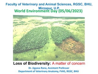 Loss of Biodiversity: A matter of concern
Dr. Jigyasa Rana, Assistant Professor
Department of Veterinary Anatomy, FVAS, RGSC, BHU
World Environment Day (05/06/2023)
Faculty of Veterinary and Animal Sciences, RGSC, BHU,
Mirzapur, U.P.
 