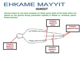 HUNOOT
Hunoot means to rub some camphor on those seven parts of the body which are
placed on the ground during prostration (sajdah) in Salaat i.e. forehead, palms,
knees and toes.
Camphor
applied to
forehead
Camphor
applied to
palms
Camphor
applied to
knees
Camphor
applied to toes
 