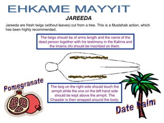 JAREEDA
Jareeda are fresh twigs (without leaves) cut from a tree. This is a Mustahab action, which
has been highly recommended.
The twigs should be of arms length and the name of the
dead person together with his testimony in the Kalima and
the Imams (A) should be inscribed on them.
The twig on the right side should touch the
armpit while the one on the left hand side
should be kept above the armpit. The
Chaadar is then wrapped around the body.
 