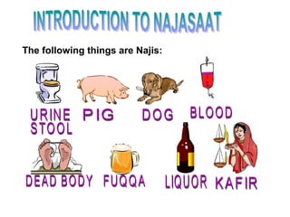 The following things are Najis:
 