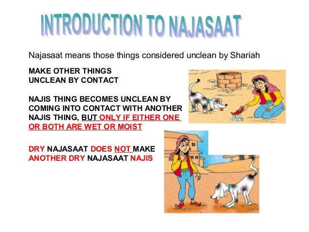 Fiqh Najasaat