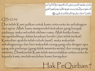 Hak PeQurban ?
QS 22:36
Dan telah Kami jadikan untuk kamu unta-unta itu sebahagian
dari syi'ar Allah, kamu memperoleh kebaikan yang banyak
padanya, maka sebutlah olehmu nama Allah ketika kamu
menyembelihnya dalam keadaan berdiri (dan telah terikat).
Kemudian apabila telah roboh (mati), maka makanlah
sebahagiannya dan beri makanlah orang yang rela dengan apa
yang ada padanya (yang tidak meminta-minta) dan orang yang
meminta. Demikianlah Kami telah menundukkan untua-unta itu
kepada kamu, mudah-mudahan kamu bersyukur.
 
