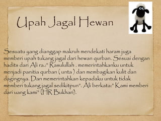 Upah Jagal Hewan
Sesuatu yang dianggap makruh mendekati haram juga
memberi upah tukang jagal dari hewan qurban. Sesuai dengan
hadits dari Ali ra.:” Rasulullah . memerintahkanku untuk
menjadi panitia qurban ( unta ) dan membagikan kulit dan
dagingnya. Dan memerintahkan kepadaku untuk tidak
memberi tukang jagal sedikitpun”. Ali berkata:” Kami memberi
dari uang kami” (HR Bukhari).
 
