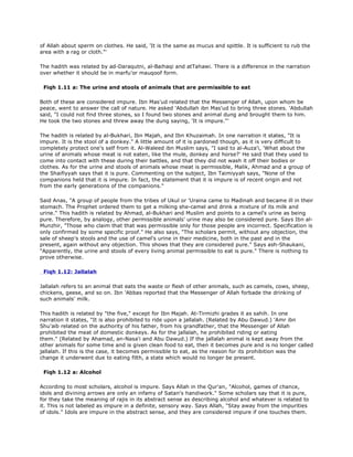 of Allah about sperm on clothes. He said, 'It is the same as mucus and spittle. It is sufficient to rub the
area with a rag or cloth."'
The hadith was related by ad-Daraqutni, al-Baihaqi and atTahawi. There is a difference in the narration
over whether it should be in marfu'or mauqoof form.
Fiqh 1.11 a: The urine and stools of animals that are permissible to eat
Both of these are considered impure. Ibn Mas'ud related that the Messenger of Allah, upon whom be
peace, went to answer the call of nature. He asked 'Abdullah ibn Mas'ud to bring three stones. 'Abdullah
said, "I could not find three stones, so I found two stones and animal dung and brought them to him.
He took the two stones and threw away the dung saying, 'It is impure."'
The hadith is related by al-Bukhari, Ibn Majah, and Ibn Khuzaimah. In one narration it states, "It is
impure. It is the stool of a donkey." A little amount of it is pardoned though, as it is very difficult to
completely protect one's self from it. Al-Waleed ibn Muslim says, "I said to al-Auza'i, 'What about the
urine of animals whose meat is not eaten, like the mule, donkey and horse?' He said that they used to
come into contact with these during their battles, and that they did not wash it off their bodies or
clothes. As for the urine and stools of animals whose meat is permissible, Malik, Ahmad and a group of
the Shaifiyyah says that it is pure. Commenting on the subject, Ibn Taimiyyah says, "None of the
companions held that it is impure. In fact, the statement that it is impure is of recent origin and not
from the early generations of the companions."
Said Anas, "A group of people from the tribes of Ukul or 'Uraina came to Madinah and became ill in their
stomach. The Prophet ordered them to get a milking she-camel and drink a mixture of its milk and
urine." This hadith is related by Ahmad, al-Bukhari and Muslim and points to a camel's urine as being
pure. Therefore, by analogy, other permissible animals' urine may also be considered pure. Says Ibn al-
Munzhir, "Those who claim that that was permissible only for those people are incorrect. Specification is
only confirmed by some specific proof." He also says, "The scholars permit, without any objection, the
sale of sheep's stools and the use of camel's urine in their medicine, both in the past and in the
present, again without any objection. This shows that they are considered pure." Says ash-Shaukani,
"Apparently, the urine and stools of every living animal permissible to eat is pure." There is nothing to
prove otherwise.
Fiqh 1.12: Jallalah
Jallalah refers to an animal that eats the waste or flesh of other animals, such as camels, cows, sheep,
chickens, geese, and so on. Ibn 'Abbas reported that the Messenger of Allah forbade the drinking of
such animals' milk.
This hadith is related by "the five," except for Ibn Majah. At-Tirmizhi grades it as sahih. In one
narration it states, "It is also prohibited to ride upon a jallalah. (Related by Abu Dawud.) 'Amr ibn
Shu'aib related on the authority of his father, from his grandfather, that the Messenger of Allah
prohibited the meat of domestic donkeys. As for the jallalah, he prohibited riding or eating
them." (Related by Ahamad, an-Nasa'i and Abu Dawud.) If the jallalah animal is kept away from the
other animals for some time and is given clean food to eat, then it becomes pure and is no longer called
jallalah. If this is the case, it becomes permissible to eat, as the reason for its prohibition was the
change it underwent due to eating filth, a state which would no longer be present.
Fiqh 1.12 a: Alcohol
According to most scholars, alcohol is impure. Says Allah in the Qur'an, "Alcohol, games of chance,
idols and divining arrows are only an infamy of Satan's handiwork." Some scholars say that it is pure,
for they take the meaning of rajis in its abstract sense as describing alcohol and whatever is related to
it. This is not labeled as impure in a definite, sensory way. Says Allah, "Stay away from the impurities
of idols." Idols are impure in the abstract sense, and they are considered impure if one touches them.
 