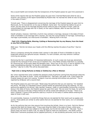 Fiqh us Sunnah (five volumes)