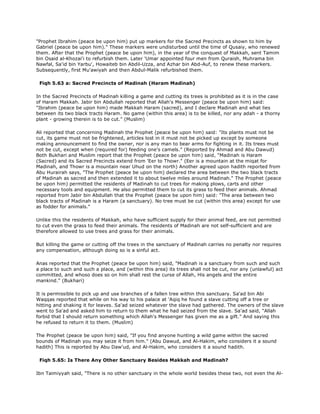 Fiqh us Sunnah (five volumes)