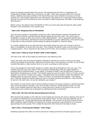 Fiqh us Sunnah (five volumes)