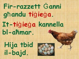 Fir-razzett  Ġ anni g ħ andu  ti ġ ie ġ a . It- ti ġ ie ġ a  kan n ella bl-aħmar . Hija tbid il-bajd. 