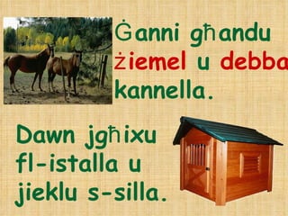Ġ anni g ħ andu  ż iemel  u  debba  kannella. Dawn jg ħ ixu  fl-istalla u  jieklu s-silla.  