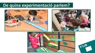 De quina experimentació parlem?
 