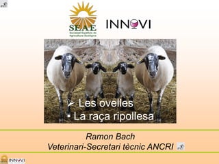 Ramon Bach
Veterinari-Secretari tècnic ANCRI
 Les ovelles
• La raça ripollesa
 