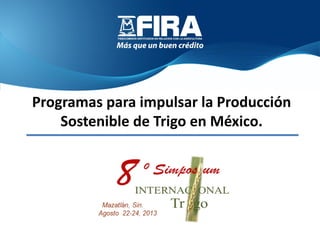 Programas para impulsar la Producción
Sostenible de Trigo en México.
 