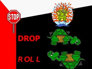 DROP ROLL 