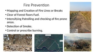 Traditional Practice of forest fire management in Assam | PPTX