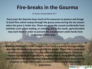 Fire-breaks in the Gourma Every year the Gourma loses much of its resources in pasture and forage to bush fires which sweep through the grassy areas during the dry season when the grass is tinder dry. These are generally caused accidentally from activities such as tea-making, or smoking, but in the south, agriculturalists may start them in order to prevent the transhumant cattle herds from staying in their area.  A pastoral reserve is made to ensure that there is pasture through the dry season but it needs to be protected by fire breaks. These take a good deal of effort to construct but are very effective if done properly. They also require a great deal of community organization to bring differing clans and ethnicities to work together. Supporting this activity is a good way to instantly increase the amount of natural resources available to the population. Dr Susan Canney March 2011 