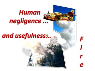 Human negligence ... and usefulness... Fire 