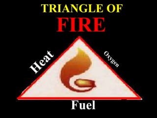 Propane Triangle FIRE safety, fire science, risk assessment | PPT
